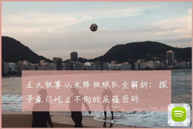 五大联赛从未降级球队全解析：探寻豪门屹立不倒的底蕴密码